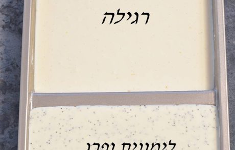 עוגת גבינה אפויה קלה להכנה בשני טעמים וללא גלוטן